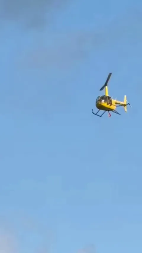 Tennessee Zebras has been captured