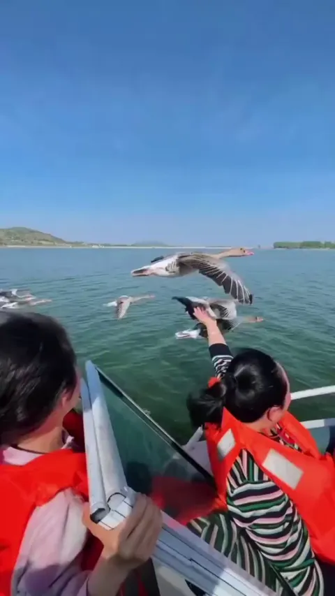 She gave the bird a resting time in mid fly.