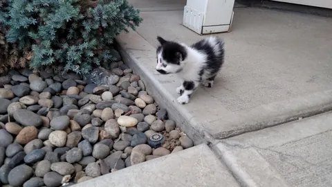 10 years with this floof