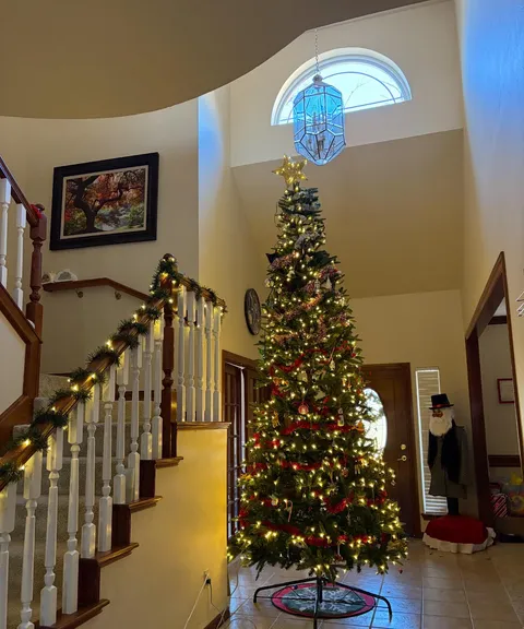 I’ve Never Had a Cat Before. Is This Just How It Is Now?