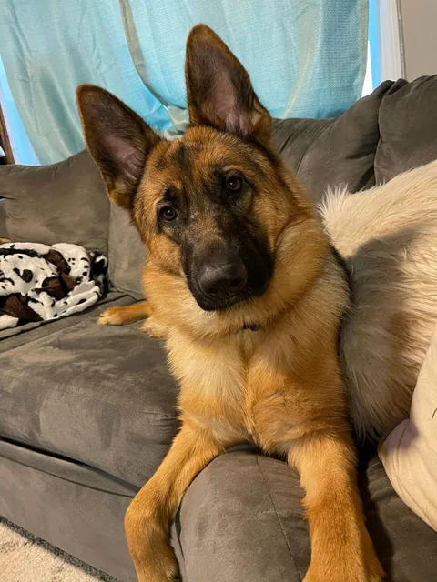 help me to give him name 🥹❤️