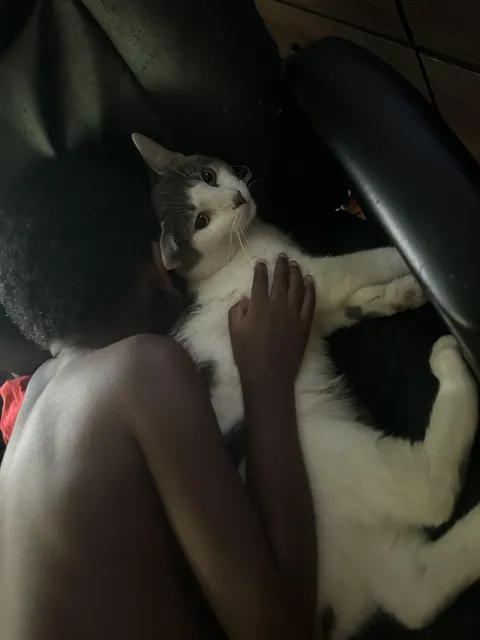 Have to get rid of my cat. 