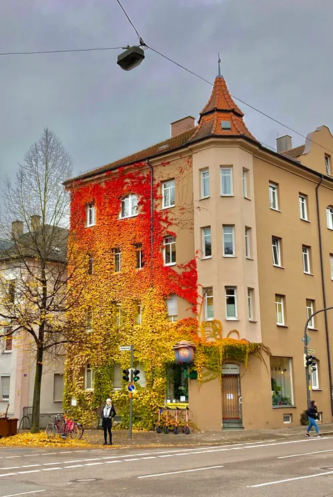 ITAP of a house in my street