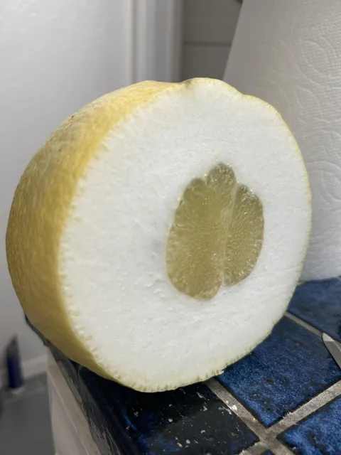 I found a giant lemon but the inside is tiny