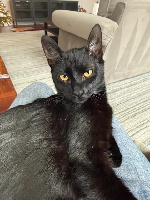 Happy 1st birthday my handsome little man!