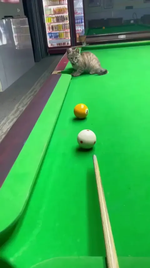 Just a li’l bit of assistance-