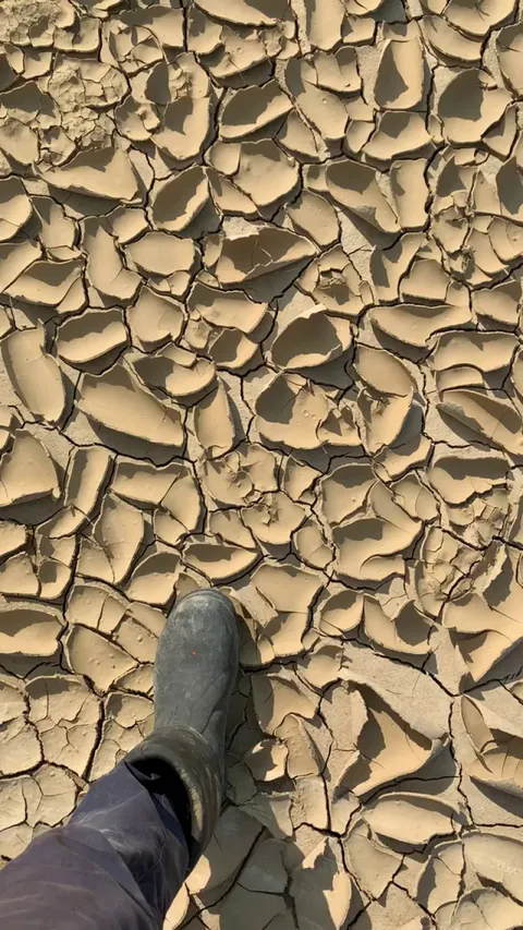After a heavy rain and flooding, walking on the dried flakes of mud just eases my soul