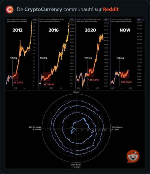 Bitcoin has a 4 year cycle. It’s now or never!! 🚀🚀