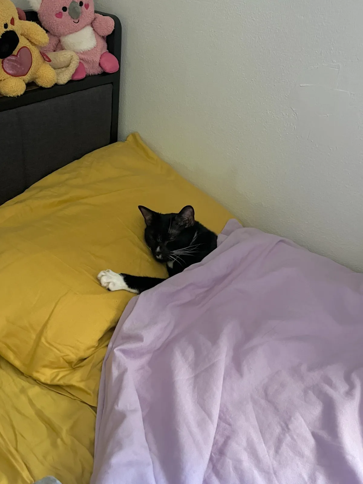 Fell asleep next to my husband, woke up next to this guy 