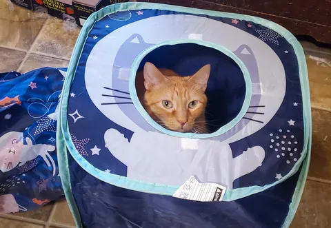 Abed is convinced I can't see him.