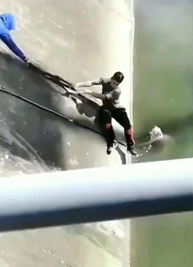 Kudos to this who was bitten by the poor Doggy multiple times, yet didn't give up on her!