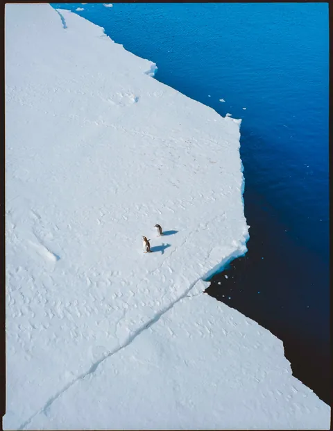 Traveling with Lindblad in Antarctica