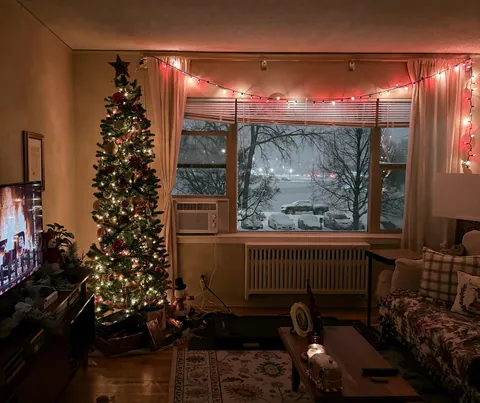 First big snow day and Christmas in this apartment [OC]