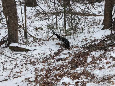 Updates on the sweet ice princess, Elsa!