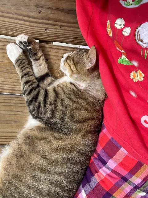 Tribute to my sweet boy. I just want people to know he existed