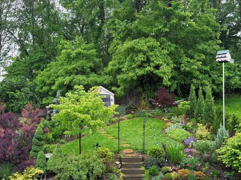 Back Garden Today vs. Four Years Ago (Zone 6b, Pennsylvania)