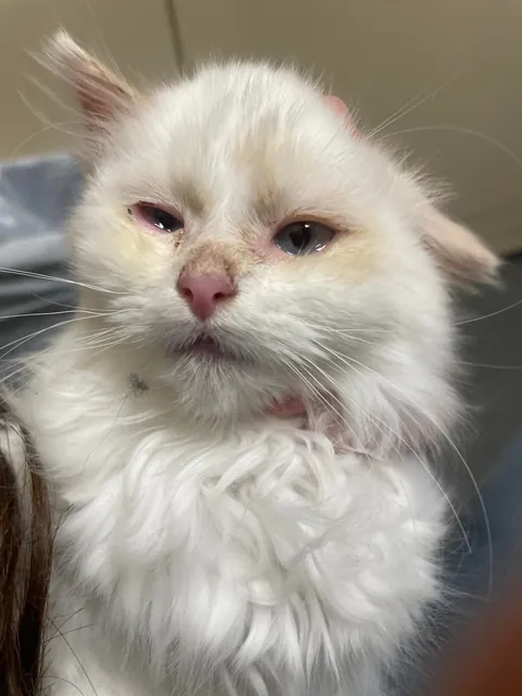 my son and his transformation pics!!