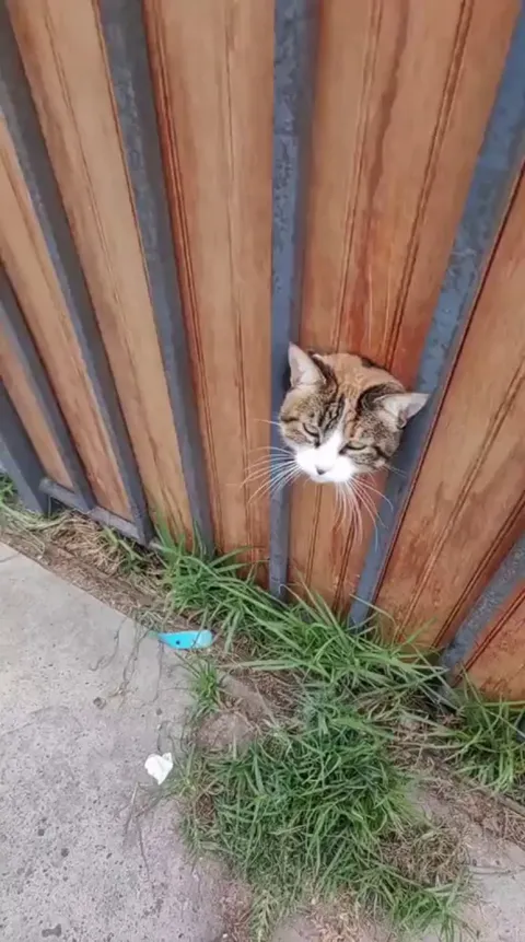 They should put a warning sign on that door