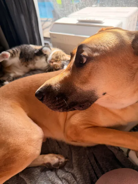 A sequence of events my GF captured