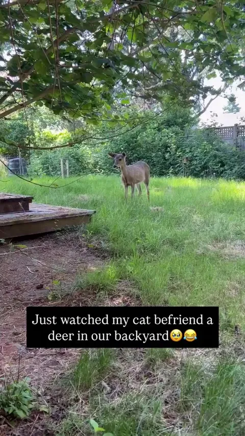 The start to a beautiful friendship🥹🤍 -- NoelleTheobald