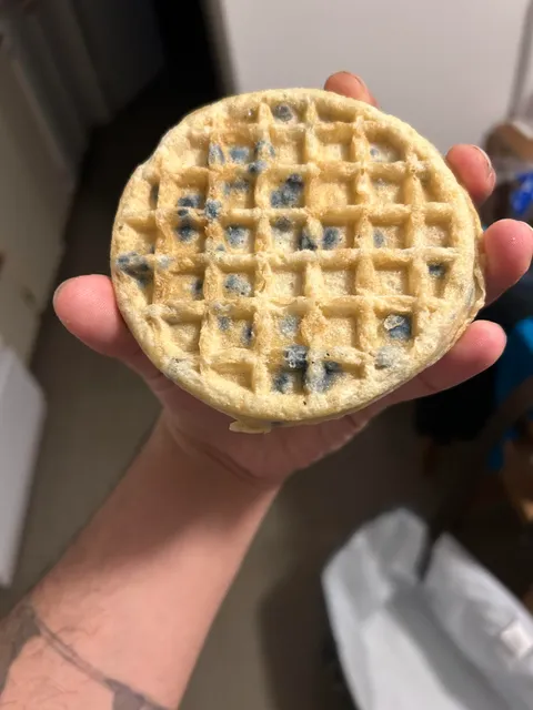 After eating two of these blueberry waffles, i went to heat up two more and saw that the package was for plain waffles. I ate mold.