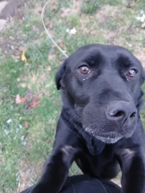 Chunky gave me a hug