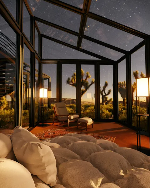 Twilight in Joshua Tree