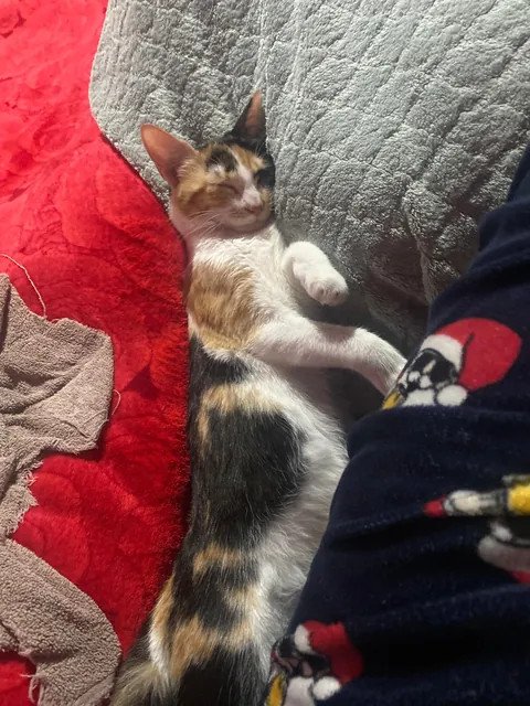 She saved me from committing suicide and gave me a reason to live.