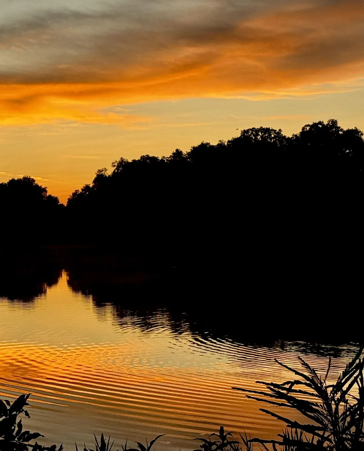 These ripples in the water during sunset
