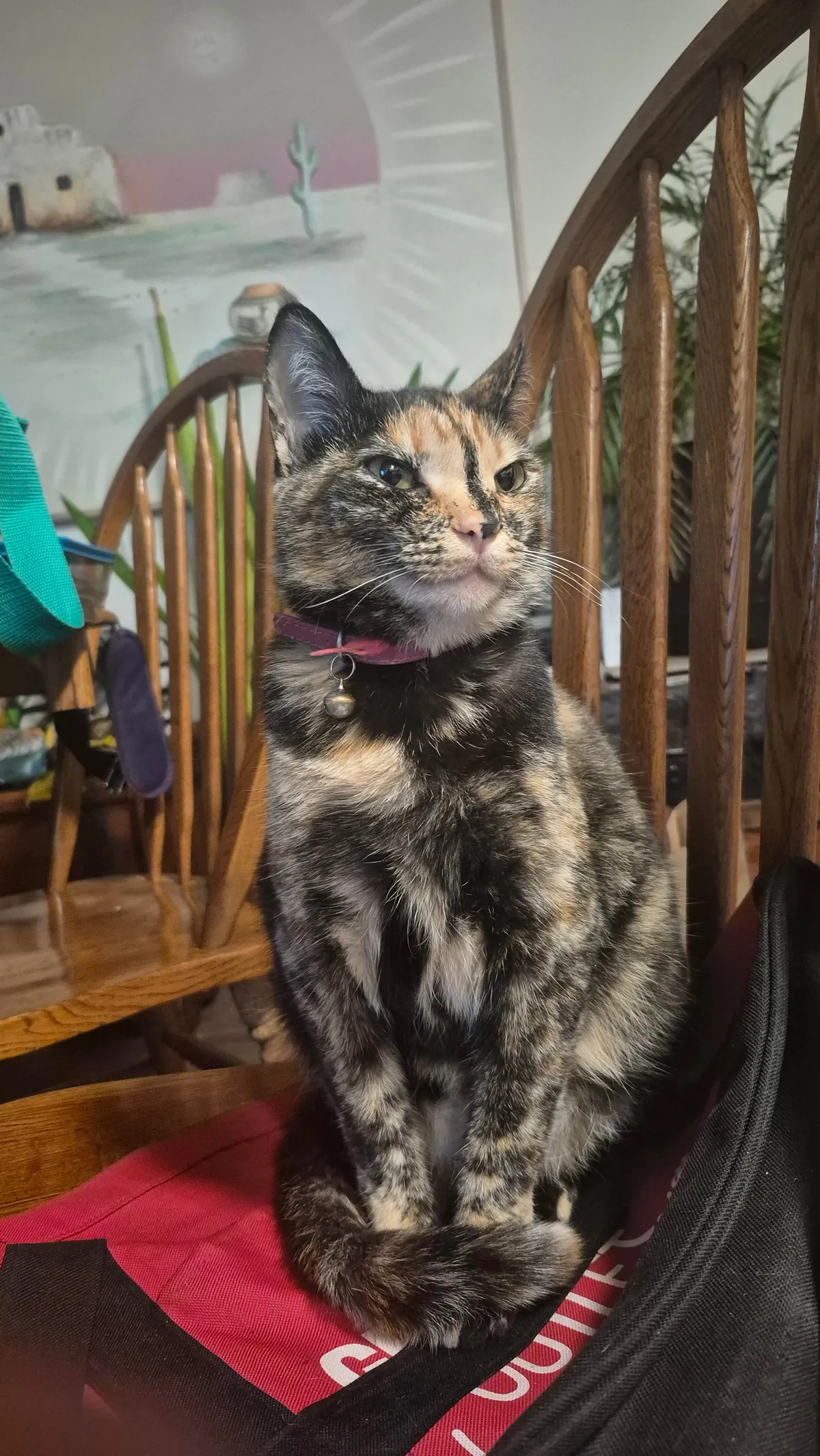 Before and after I told Kai she was pretty