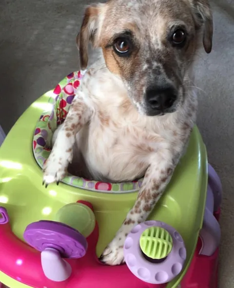 He's just a baby 🥺