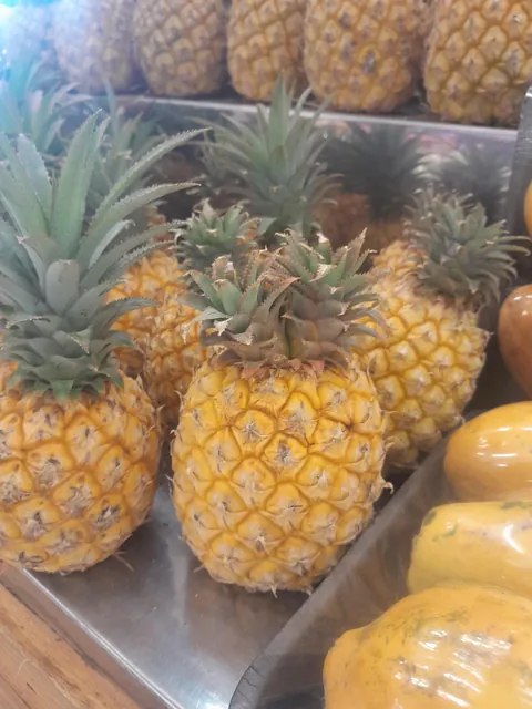 Pinapple with 2 leaf heads I found at the store.