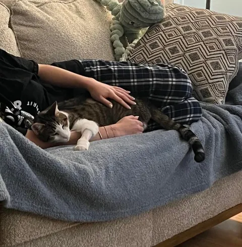 Rest easy my sweet boy Eli