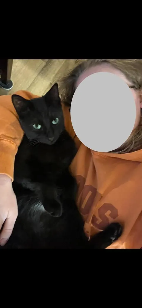 Toblerone was returned to the shelter for being “too needy”, but we love his neediness🖤