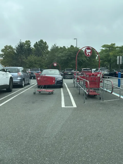 People who don’t return shopping carts are The Worst™️