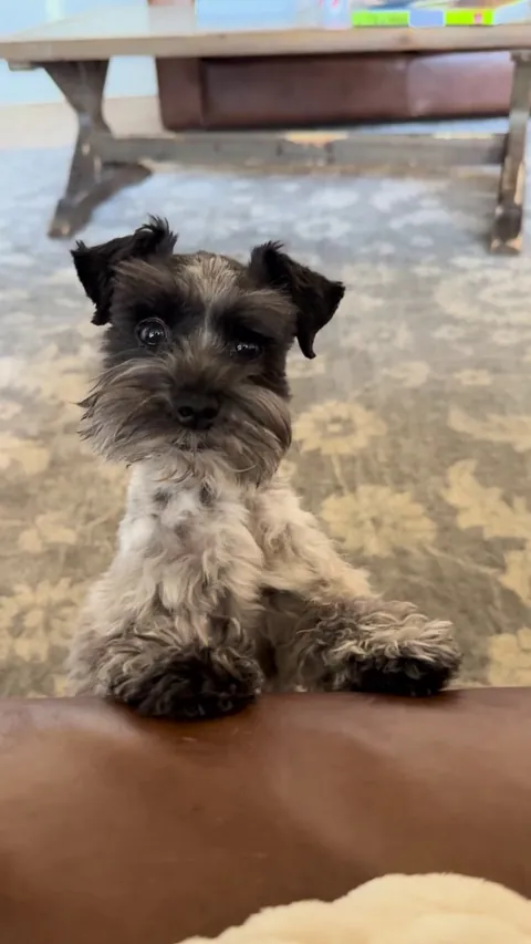 This happens every time I tell him he’s loved: