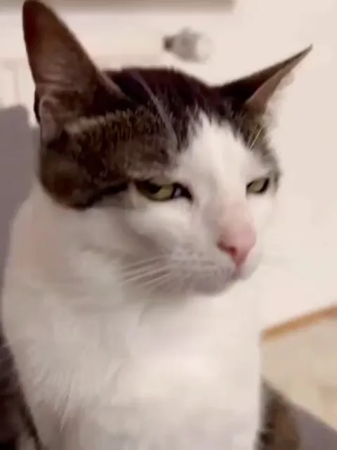 Bombastic side eye 👀