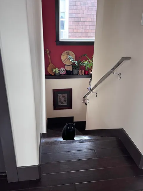 My friend’s black void has never shown himself to me until now and caught me by surprise