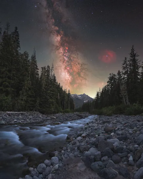 Mt. Rainier National Park (OC) [1638x2080] @electriceye.photography