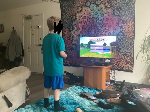My brother is Minecraft Steve
