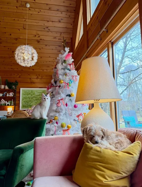 Over here just trying to keep my cats out of the tree. 🌲