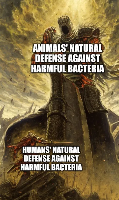 Raw meat got nothing on them