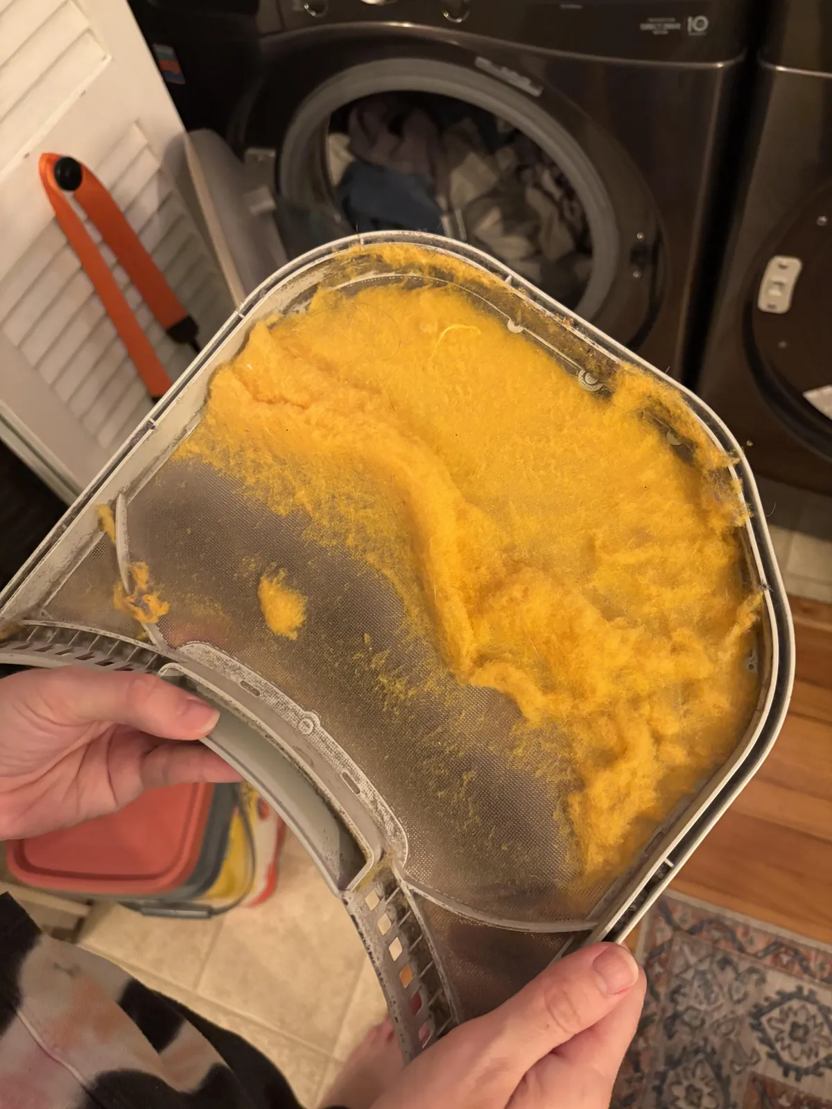 The lint from my dryer came out neon yellow