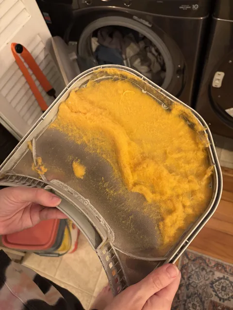 The lint from my dryer came out neon yellow