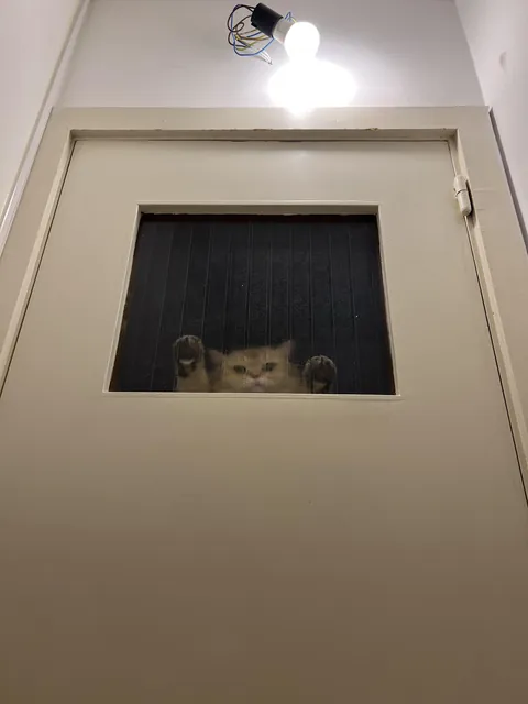I’m not staying over at my friend’s place anymore.