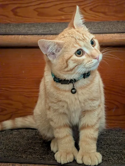 8 days ago he was feral...