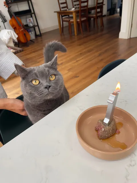 It’s his 1st bday. Congratulate him