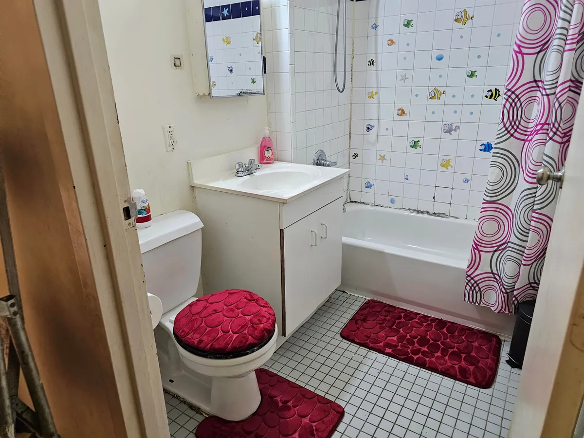 The owner had depression and I cleaned her home for free