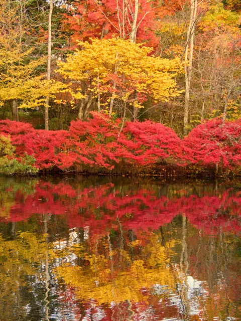 Karuizawa, Japan [OC] [3888x5184]