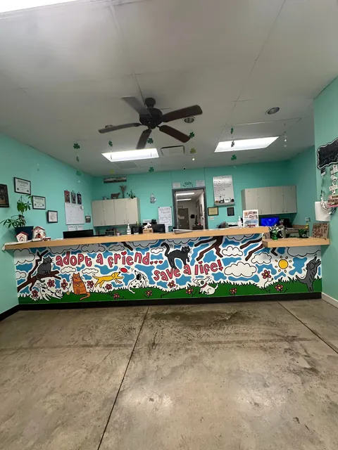 mural i did at an animal shelter in my hometown